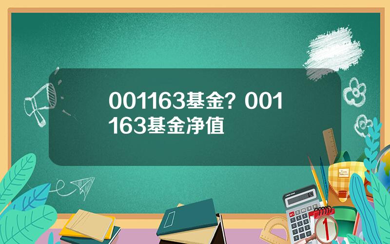001163基金？001163基金净值