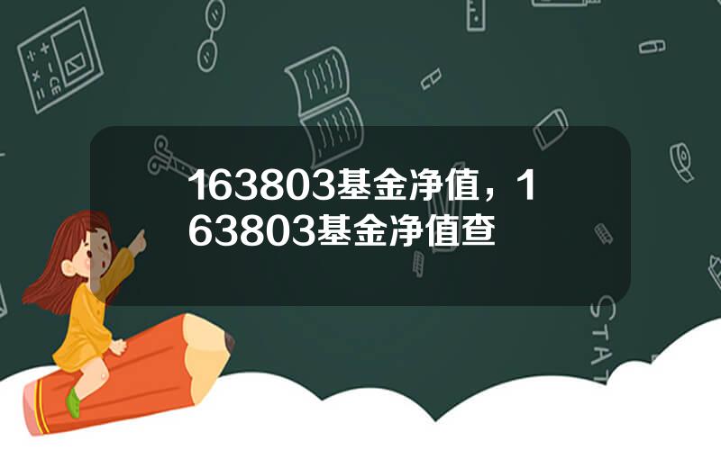 163803基金净值，163803基金净值查