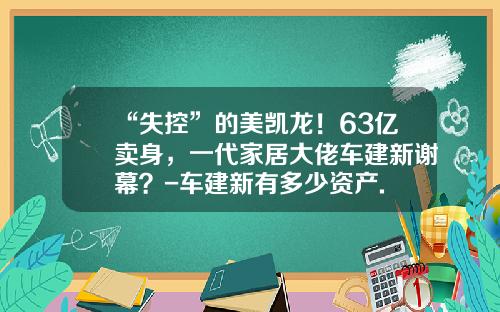 “失控”的美凯龙！63亿卖身，一代家居大佬车建新谢幕？-车建新有多少资产.