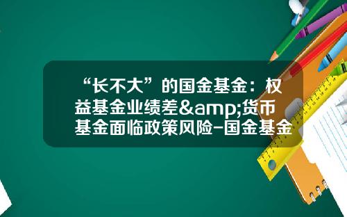 “长不大”的国金基金：权益基金业绩差&货币基金面临政策风险-国金基金怎么样