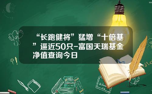 “长跑健将”猛增“十倍基”逼近50只-富国天瑞基金净值查询今日