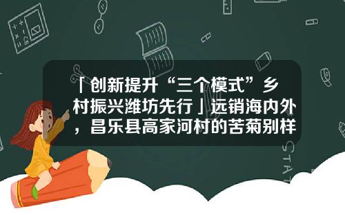 「创新提升“三个模式”乡村振兴潍坊先行」远销海内外，昌乐县高家河村的苦菊别样“甜”