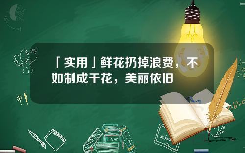 「实用」鲜花扔掉浪费，不如制成干花，美丽依旧