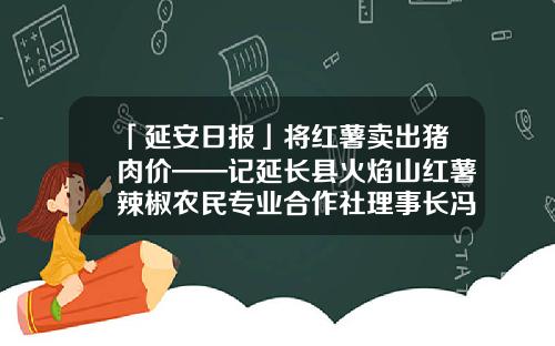 「延安日报」将红薯卖出猪肉价——记延长县火焰山红薯辣椒农民专业合作社理事长冯毅