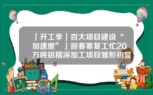 「开工季｜百大项目建设“加速度”」迎春寒复工忙20万吨铝精深加工项目雏形初显