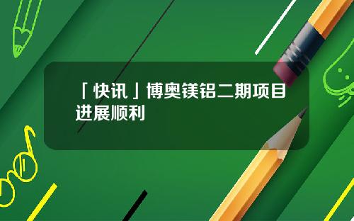 「快讯」博奥镁铝二期项目进展顺利