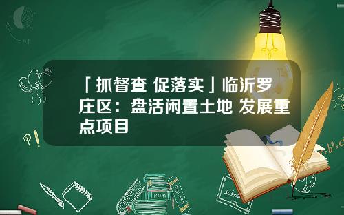 「抓督查 促落实」临沂罗庄区：盘活闲置土地 发展重点项目