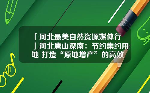 「河北最美自然资源媒体行」河北唐山滦南：节约集约用地 打造“原地增产”的高效工厂