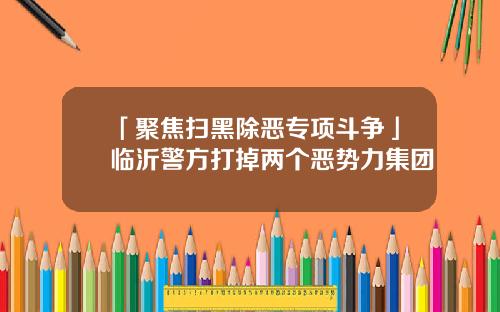 「聚焦扫黑除恶专项斗争」临沂警方打掉两个恶势力集团