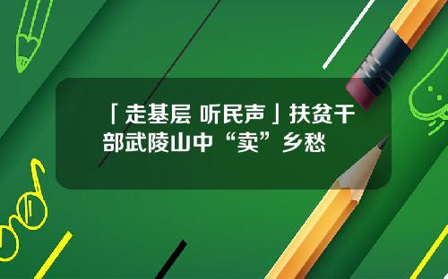 「走基层 听民声」扶贫干部武陵山中“卖”乡愁