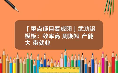 「重点项目看咸阳」武功铝模板：效率高 周期短 产能大 带就业