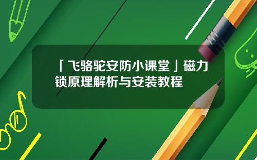 「飞骆驼安防小课堂」磁力锁原理解析与安装教程
