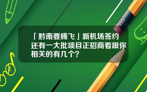 「黔南要腾飞」新机场签约还有一大批项目正招商看跟你相关的有几个？