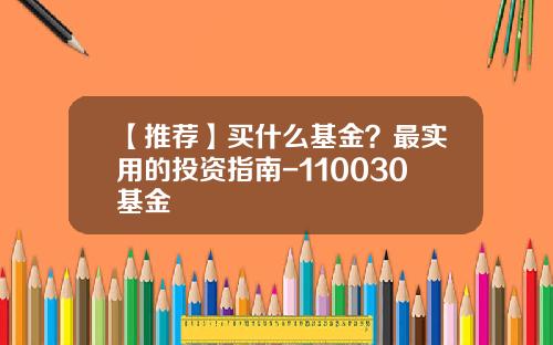 【推荐】买什么基金？最实用的投资指南-110030基金