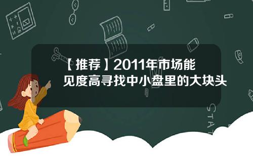 【推荐】2011年市场能见度高寻找中小盘里的大块头
