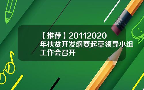 【推荐】20112020年扶贫开发纲要起草领导小组工作会召开