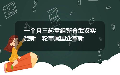 一个月三起重组整合武汉实施新一轮市属国企革新