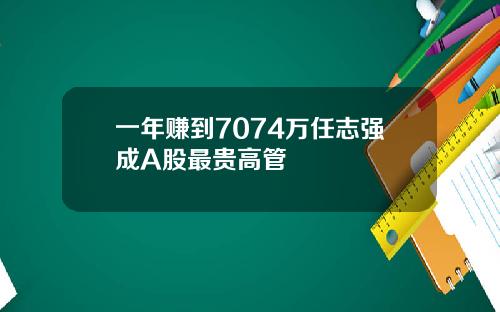 一年赚到7074万任志强成A股最贵高管