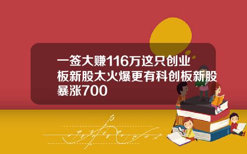 一签大赚116万这只创业板新股太火爆更有科创板新股暴涨700