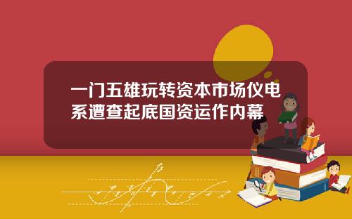 一门五雄玩转资本市场仪电系遭查起底国资运作内幕