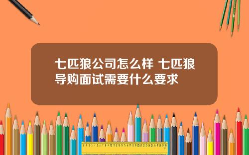 七匹狼公司怎么样 七匹狼导购面试需要什么要求