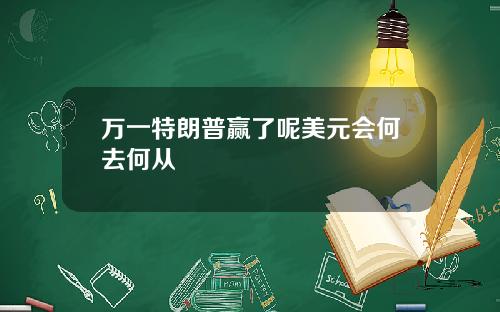万一特朗普赢了呢美元会何去何从