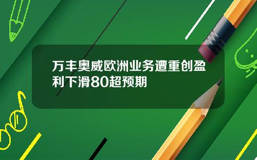万丰奥威欧洲业务遭重创盈利下滑80超预期