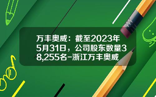 万丰奥威：截至2023年5月31日，公司股东数量38,255名-浙江万丰奥威股份有限公司