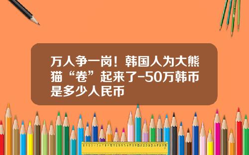万人争一岗！韩国人为大熊猫“卷”起来了-50万韩币是多少人民币