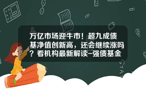 万亿市场迎牛市！超九成债基净值创新高，还会继续涨吗？看机构最新解读-强债基金