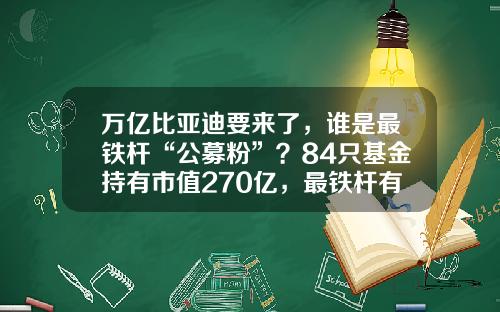万亿比亚迪要来了，谁是最铁杆“公募粉”？84只基金持有市值270亿，最铁杆有5家-比亚迪新能源基金