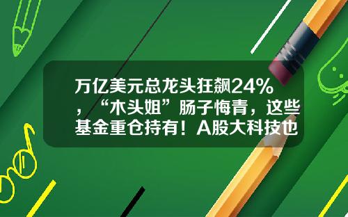 万亿美元总龙头狂飙24%，“木头姐”肠子悔青，这些基金重仓持有！A股大科技也被引爆，大V：我不该背叛AI-导师的基金