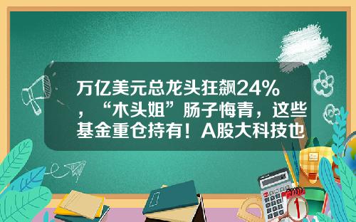 万亿美元总龙头狂飙24%，“木头姐”肠子悔青，这些基金重仓持有！A股大科技也被引爆，大V：我不该背叛AI-用美元买基金