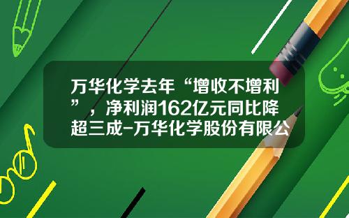 万华化学去年“增收不增利”，净利润162亿元同比降超三成-万华化学股份有限公司
