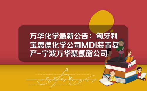 万华化学最新公告：匈牙利宝思德化学公司MDI装置复产-宁波万华聚氨酯公司