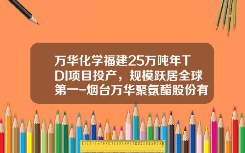 万华化学福建25万吨年TDI项目投产，规模跃居全球第一-烟台万华聚氨酯股份有限公司