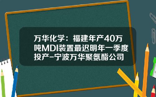 万华化学：福建年产40万吨MDI装置最迟明年一季度投产-宁波万华聚氨酯公司