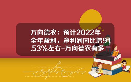 万向德农：预计2022年全年盈利，净利润同比增91.53%左右-万向德农有多少亩农垦