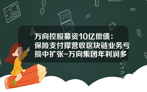 万向控股募资10亿偿债：保险支付撑营收区块链业务亏损中扩张-万向集团年利润多少