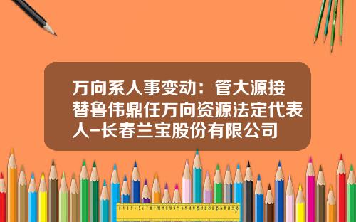 万向系人事变动：管大源接替鲁伟鼎任万向资源法定代表人-长春兰宝股份有限公司