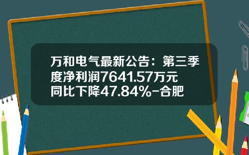 万和电气最新公告：第三季度净利润7641.57万元同比下降47.84%-合肥万和电气有限公司财务