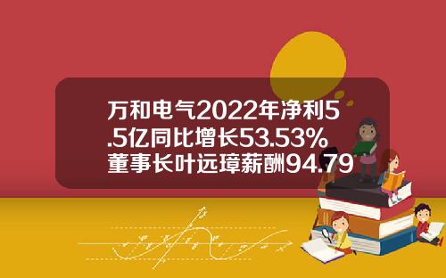 万和电气2022年净利5.5亿同比增长53.53%董事长叶远璋薪酬94.79万-合肥万和电气有限公司财务