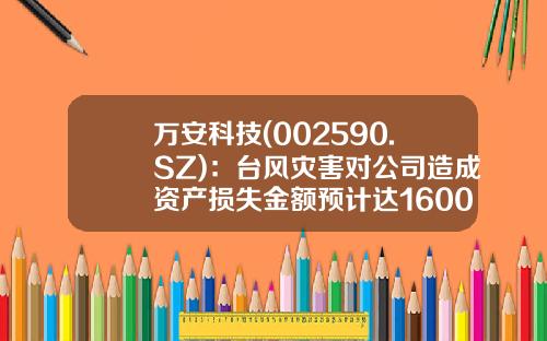 万安科技(002590.SZ)：台风灾害对公司造成资产损失金额预计达1600万元-诸暨市店口镇破产公司