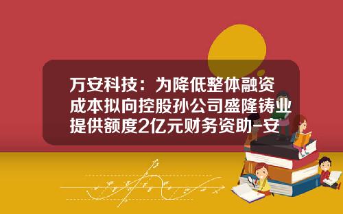 万安科技：为降低整体融资成本拟向控股孙公司盛隆铸业提供额度2亿元财务资助-安徽盛隆铸业有限公司概况