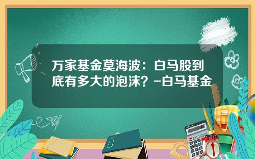 万家基金莫海波：白马股到底有多大的泡沫？-白马基金