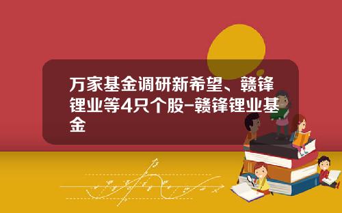万家基金调研新希望、赣锋锂业等4只个股-赣锋锂业基金