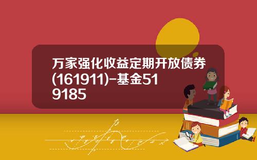 万家强化收益定期开放债券(161911)-基金519185