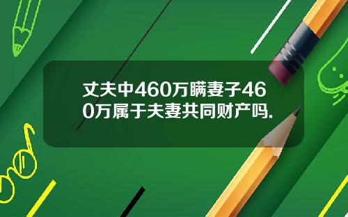 丈夫中460万瞒妻子460万属于夫妻共同财产吗.