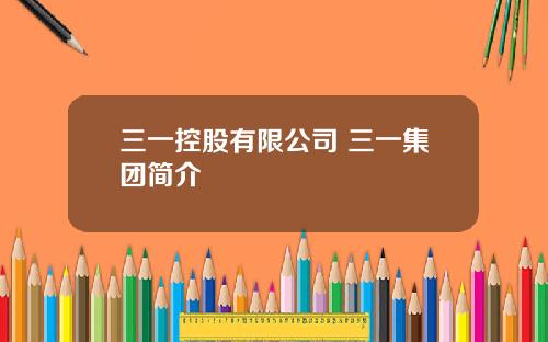 三一控股有限公司 三一集团简介