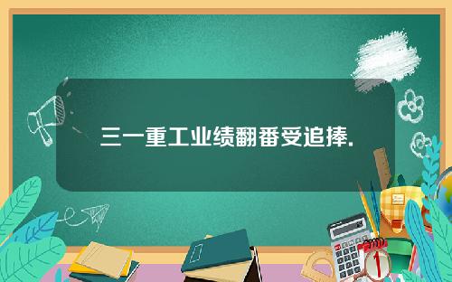 三一重工业绩翻番受追捧.
